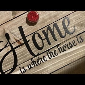 Red Apple Pony Paint